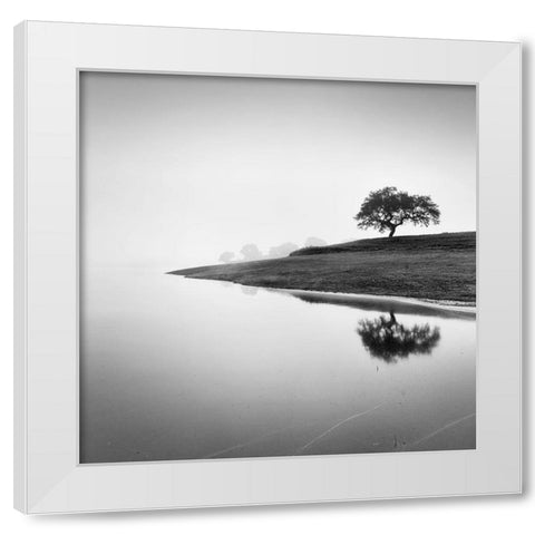 Tree in the Lake White Modern Wood Framed Art Print by Manuel, Alexandre