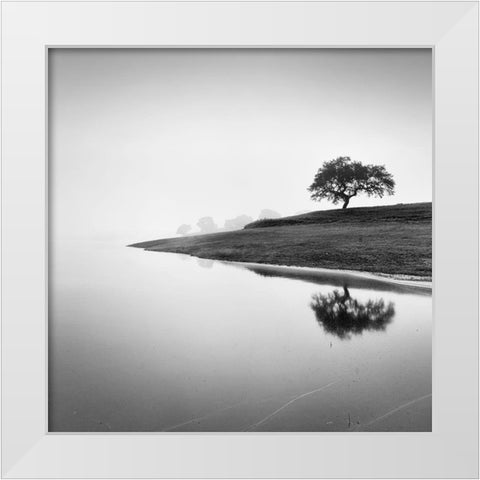 Tree in the Lake White Modern Wood Framed Art Print by Manuel, Alexandre