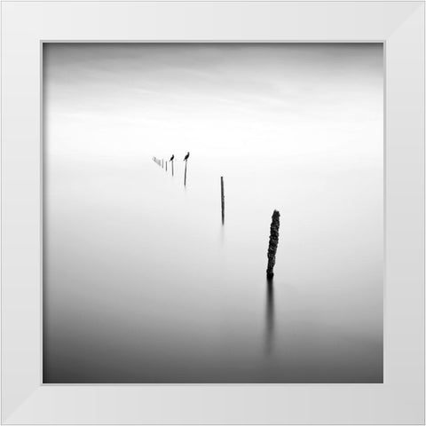 Sticks and Birds I White Modern Wood Framed Art Print by Praxis Studio