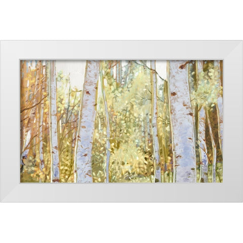 Summer Birch I  White Modern Wood Framed Art Print by Del Rizzo, Anthony