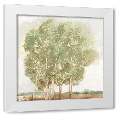 Willowdale White Modern Wood Framed Art Print by Del Rizzo, Anthony