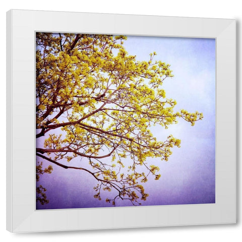 Zen White Modern Wood Framed Art Print by Arduini, Sandra