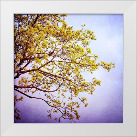 Zen White Modern Wood Framed Art Print by Arduini, Sandra