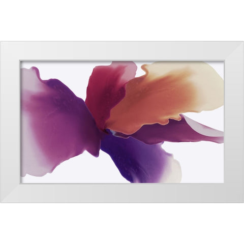 Orangico White Modern Wood Framed Art Print by Black, Alex