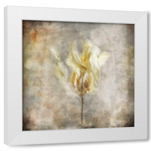 Sepia Bloom I White Modern Wood Framed Art Print by Bingham, John
