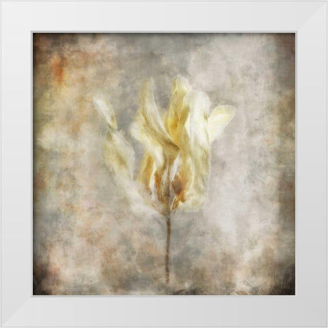 Sepia Bloom I White Modern Wood Framed Art Print by Bingham, John
