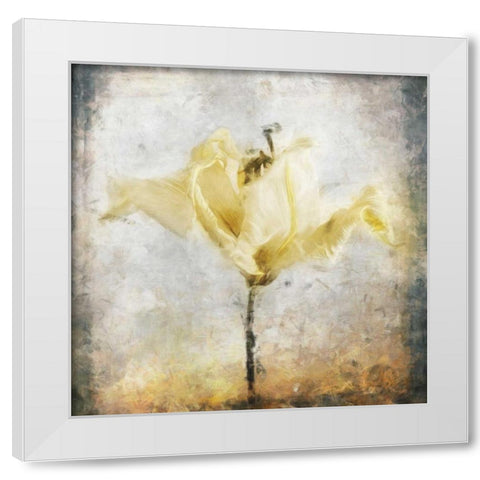 Sepia Bloom II White Modern Wood Framed Art Print by Bingham, John