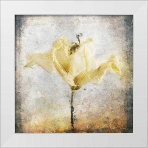 Sepia Bloom II White Modern Wood Framed Art Print by Bingham, John