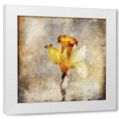 Sepia Bloom III White Modern Wood Framed Art Print by Bingham, John