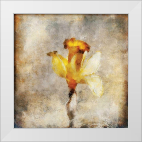 Sepia Bloom III White Modern Wood Framed Art Print by Bingham, John