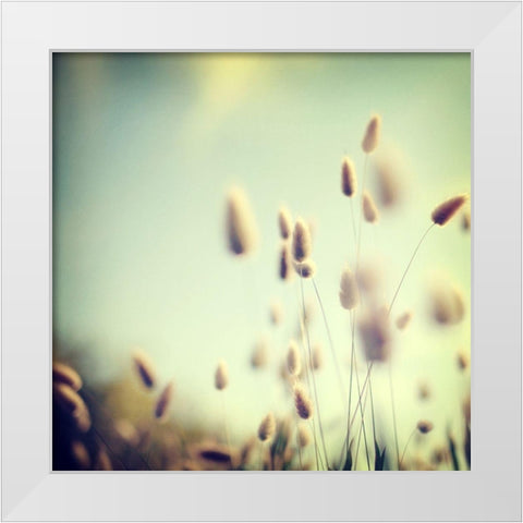 Tell Me a Secret White Modern Wood Framed Art Print by Bock, Alicia