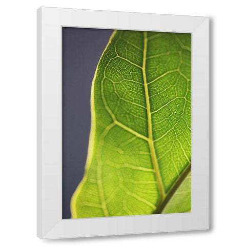 Bright Inside III White Modern Wood Framed Art Print by Bock, Alicia
