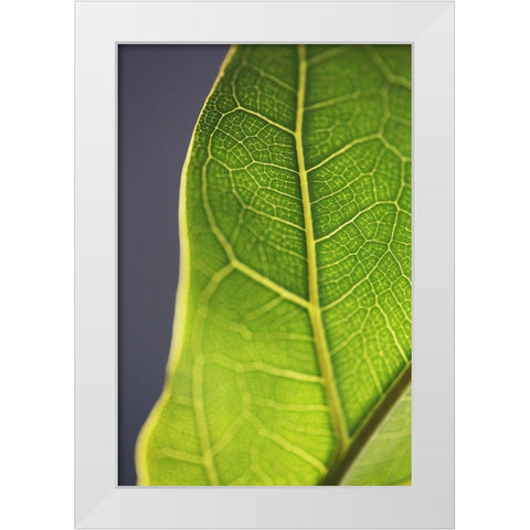 Bright Inside III White Modern Wood Framed Art Print by Bock, Alicia