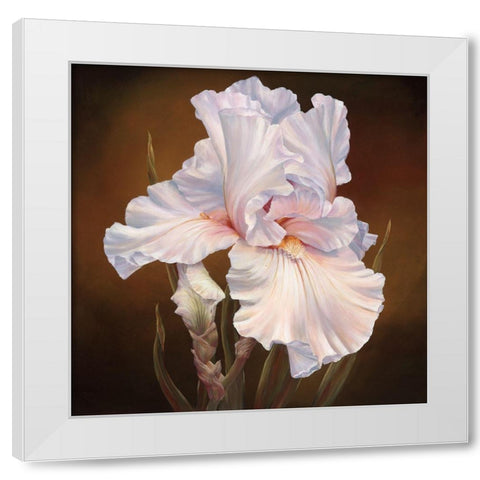 White Iris II White Modern Wood Framed Art Print by Broome, Marianne