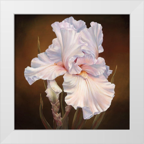White Iris II White Modern Wood Framed Art Print by Broome, Marianne