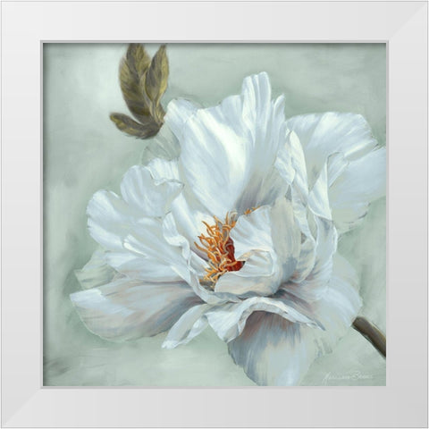 Precious Peony II White Modern Wood Framed Art Print by Broome, Marianne