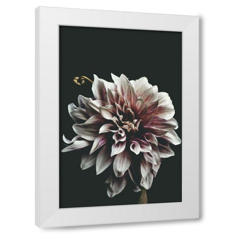 Dazed White Modern Wood Framed Art Print by Kiss, Beatrice