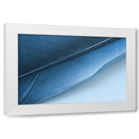 Blue Feather I White Modern Wood Framed Art Print by Beavers, Jennifer