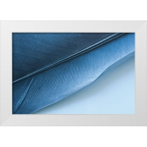 Blue Feather I White Modern Wood Framed Art Print by Beavers, Jennifer
