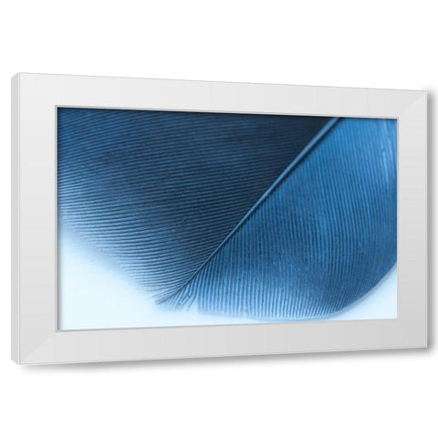 Blue Feather II White Modern Wood Framed Art Print by Beavers, Jennifer