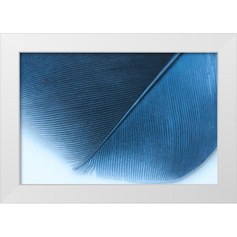 Blue Feather II White Modern Wood Framed Art Print by Beavers, Jennifer
