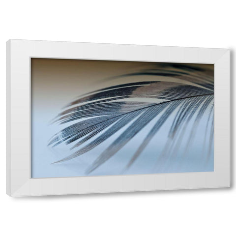 Sweet Dreams White Modern Wood Framed Art Print by Beavers, Jennifer