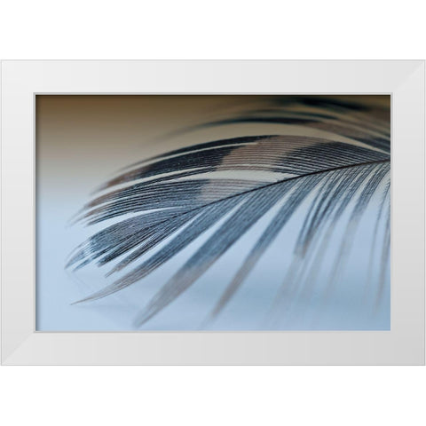 Sweet Dreams White Modern Wood Framed Art Print by Beavers, Jennifer