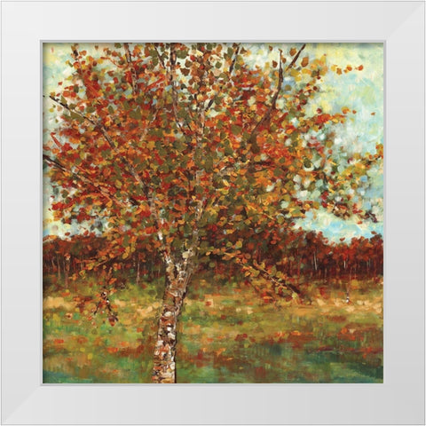 Fresh Landscape II White Modern Wood Framed Art Print by Dolce, Carmen