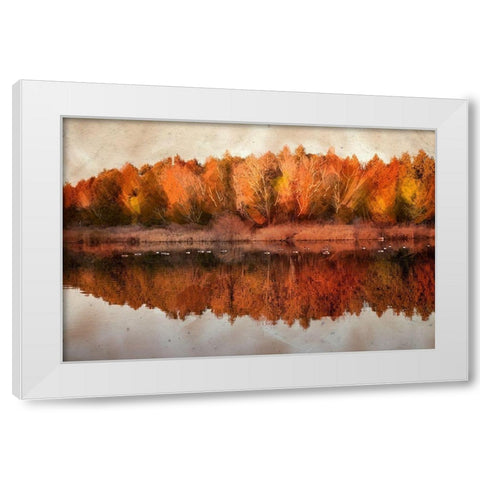 Lang Pix 4  White Modern Wood Framed Art Print by Clements, Charlotte