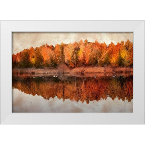 Lang Pix 4  White Modern Wood Framed Art Print by Clements, Charlotte