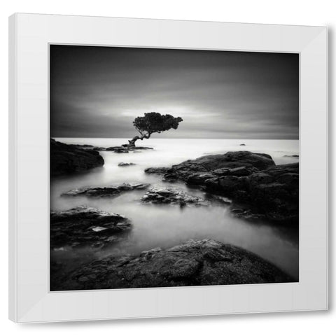 Tree of Temptation White Modern Wood Framed Art Print by Cherry, Rob