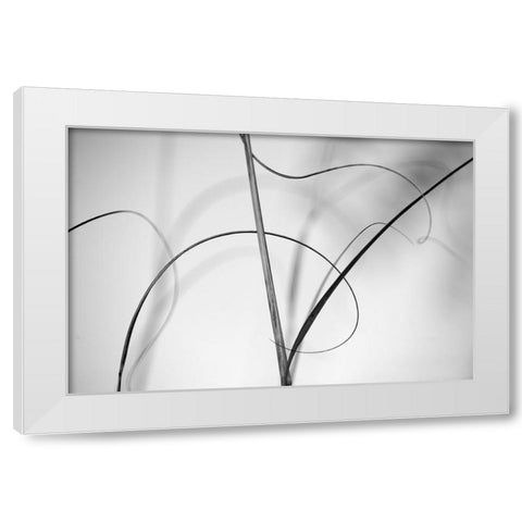 Elegant Vines I  White Modern Wood Framed Art Print by Connolly, Karin