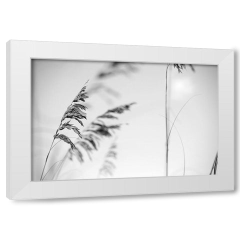 Elegant Vines II  White Modern Wood Framed Art Print by Connolly, Karin