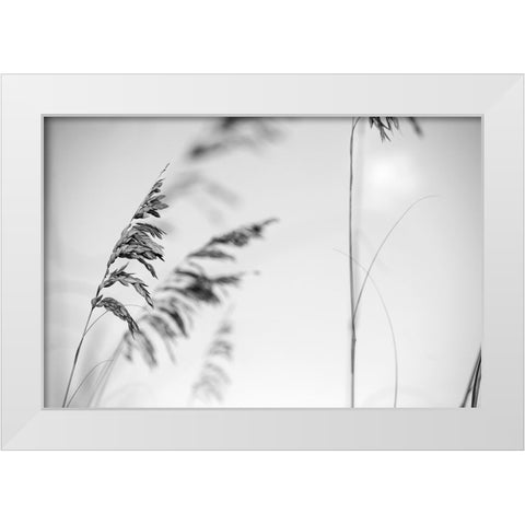 Elegant Vines II  White Modern Wood Framed Art Print by Connolly, Karin