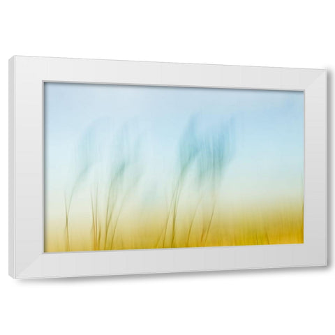 Sunset Air  White Modern Wood Framed Art Print by Connolly, Karin