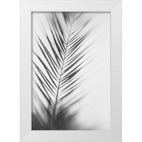 Shade I - B and W White Modern Wood Framed Art Print by McDonald, Catherine