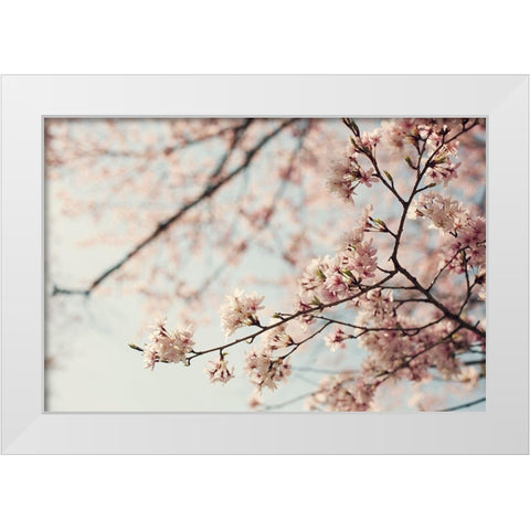 One Fine Day White Modern Wood Framed Art Print by McDonald, Catherine