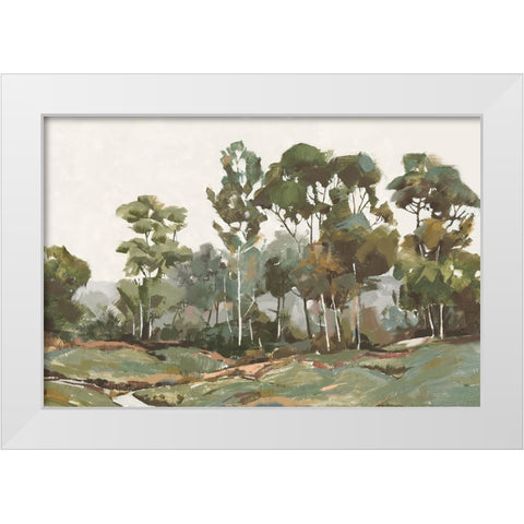 Enchanted Valley White Modern Wood Framed Art Print by Jacob Q