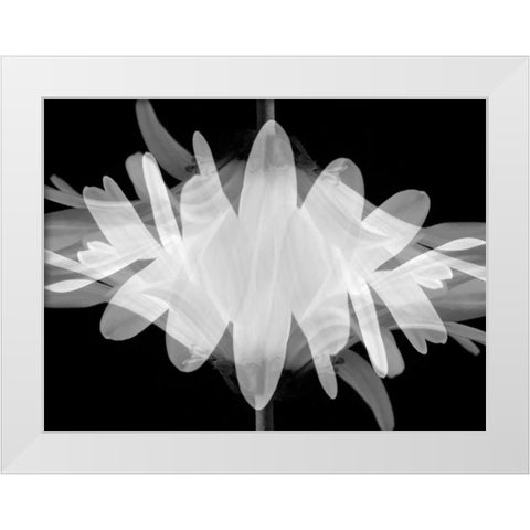 Superimposition White Modern Wood Framed Art Print by Christensen, Jim