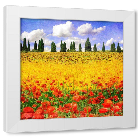 Lombardy I White Modern Wood Framed Art Print by Vest, Chris