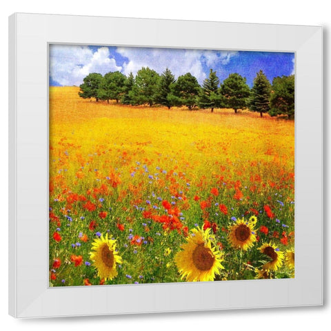 Lombardy II White Modern Wood Framed Art Print by Vest, Chris