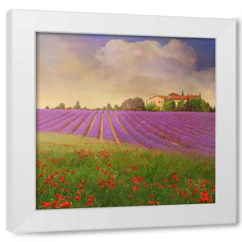Lavender Fields IV White Modern Wood Framed Art Print by Vest, Chris