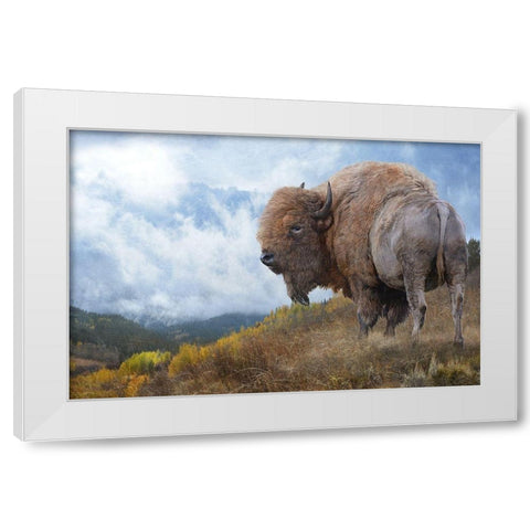 Golden Bison  White Modern Wood Framed Art Print by Vest, Chris