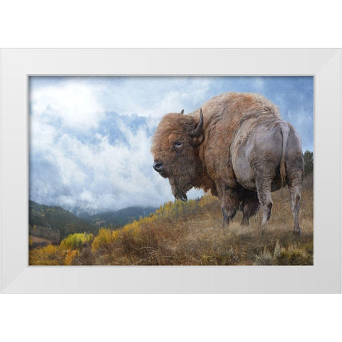 Golden Bison  White Modern Wood Framed Art Print by Vest, Chris