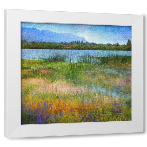 Lake Near Mesa Verde White Modern Wood Framed Art Print by Vest, Chris