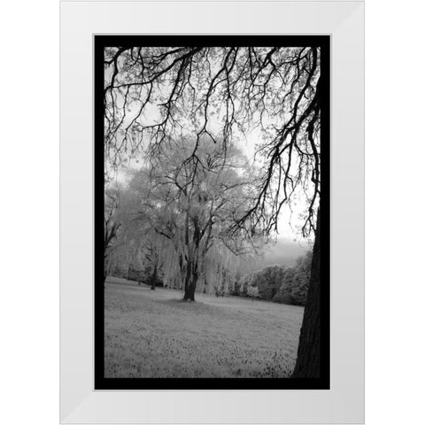 Infra Red Forest I White Modern Wood Framed Art Print by Comfort, David