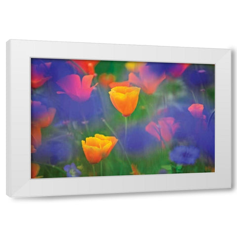 Tulipia White Modern Wood Framed Art Print by Frates, Dennis