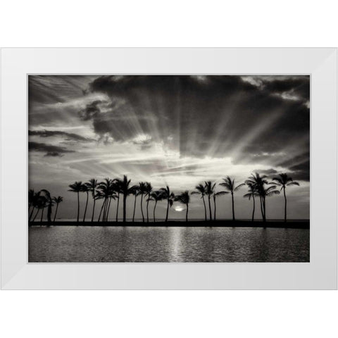 Summer Breezes II White Modern Wood Framed Art Print by Frates, Dennis