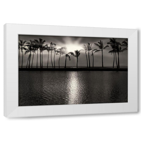 Summer Breezes III White Modern Wood Framed Art Print by Frates, Dennis