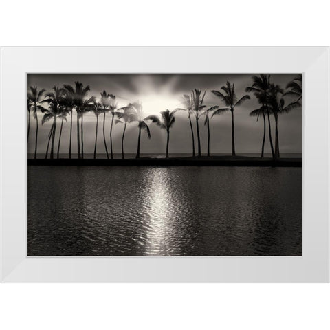 Summer Breezes III White Modern Wood Framed Art Print by Frates, Dennis
